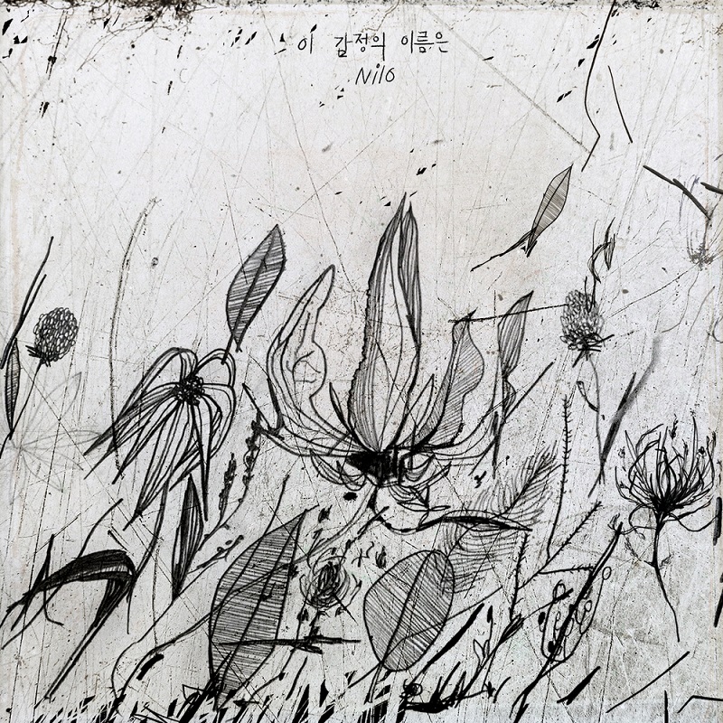 앨범커버 