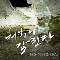 앨범커버