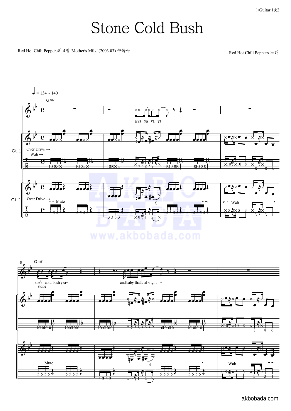 Red Hot Chili Peppers - Stone Cold Bush 기타1,2 악보 