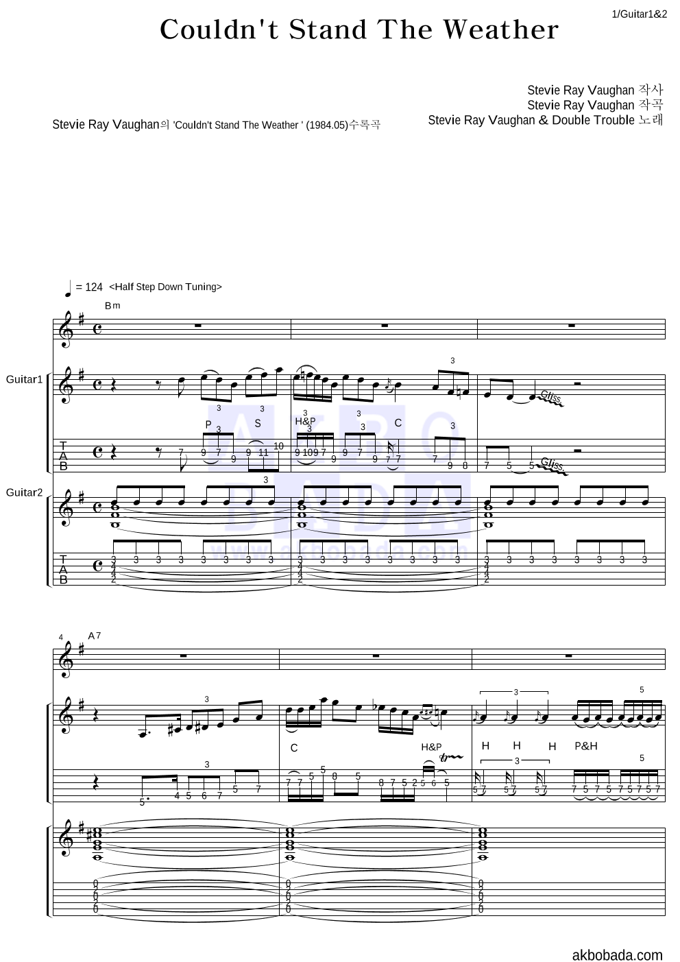 Stevie Ray Vaughan - Couldn't Stand The Weather 기타1,2 악보 