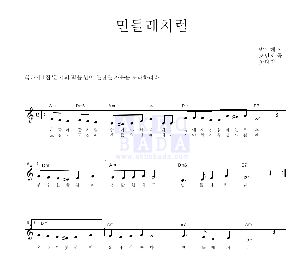 꽃다지 - 민들레처럼 멜로디 악보 