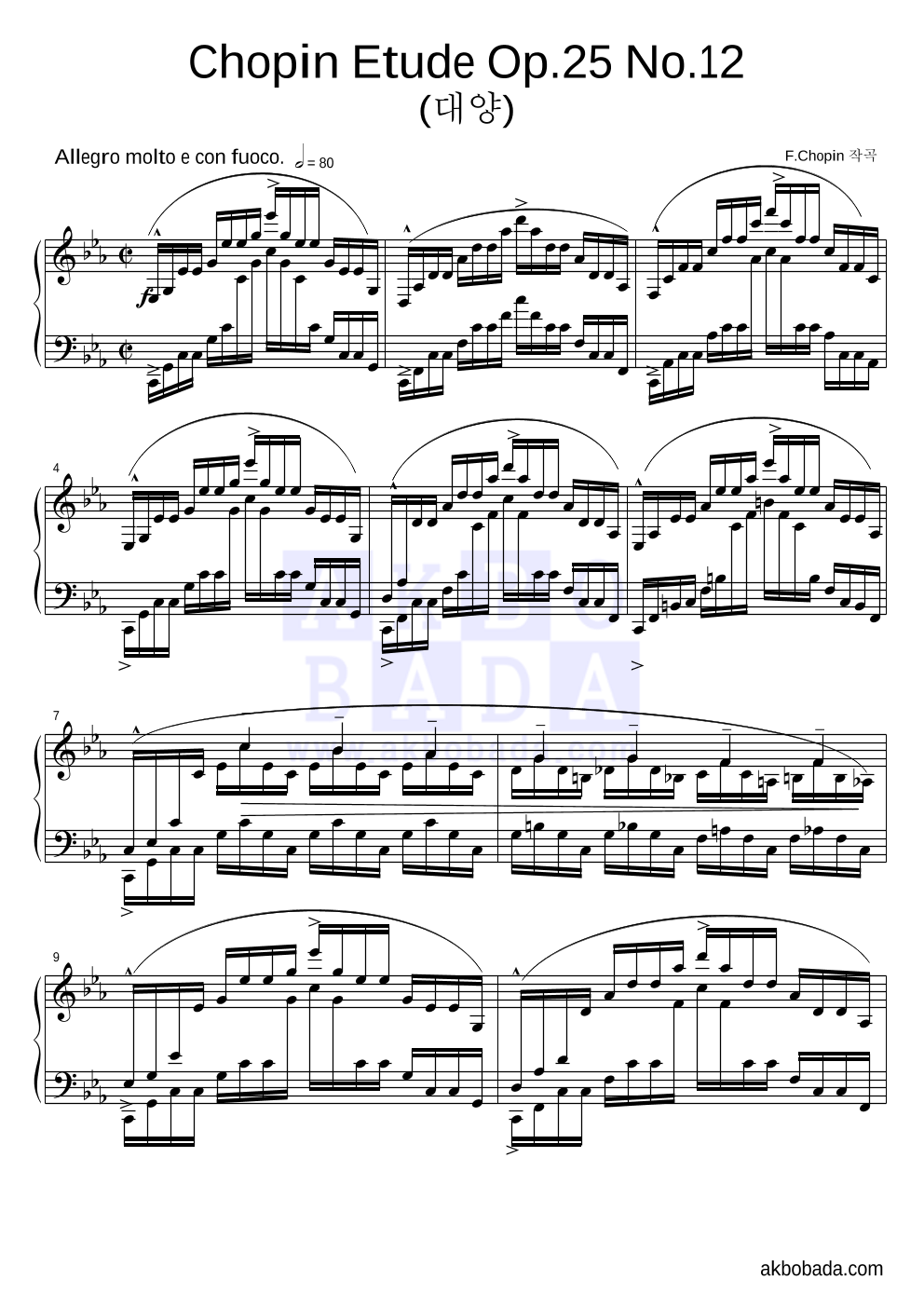 쇼팽 - Etude Op.25 No.12 (대양) 피아노 2단 악보 