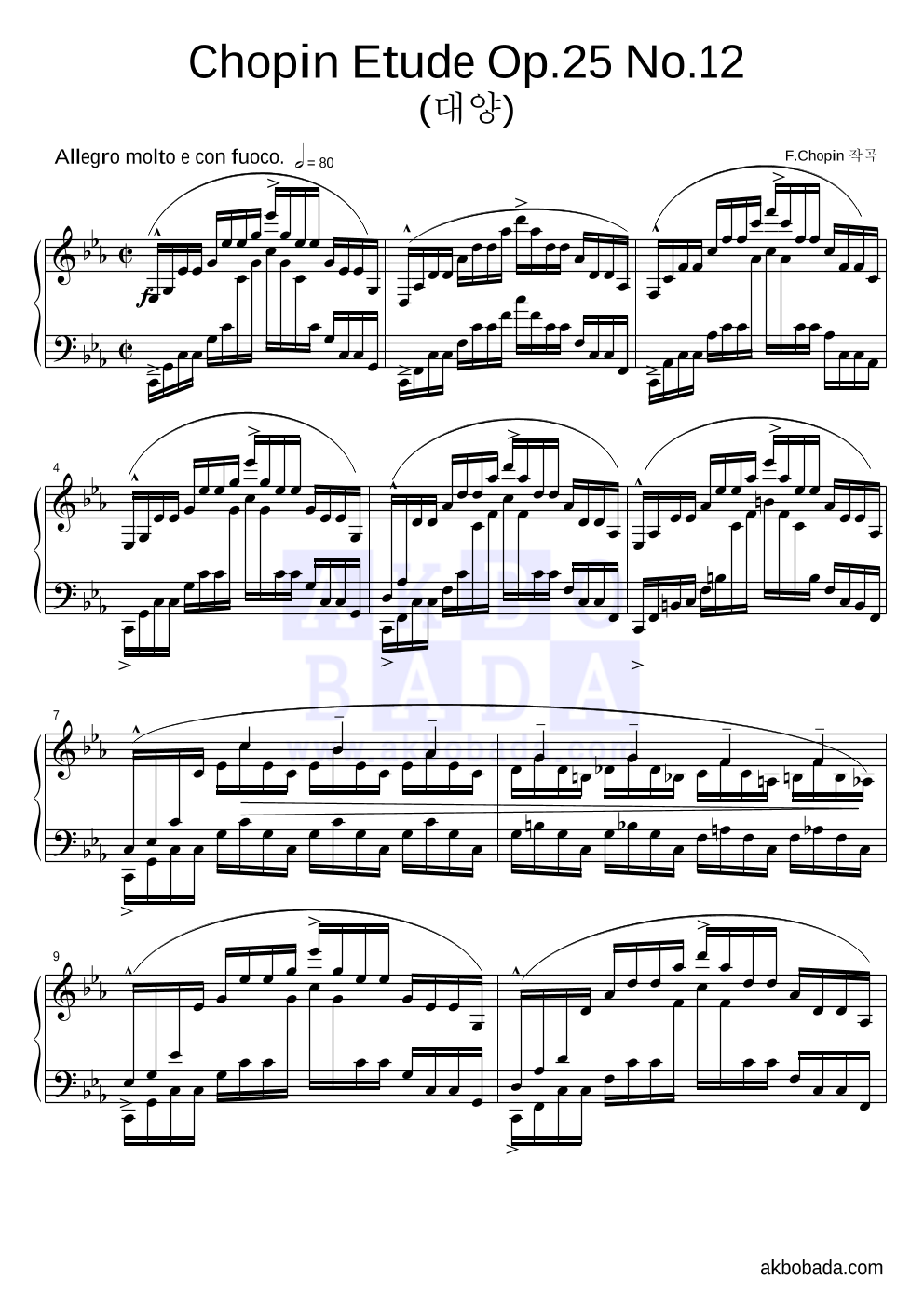 쇼팽 Etude Op.25 No.12 (대양) 악보