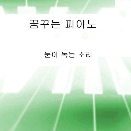 눈이 녹는 소리 앨범커버