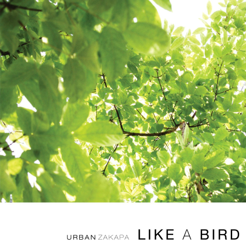 Like A Bird 앨범커버