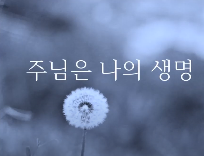 앨범커버