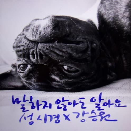 앨범커버
