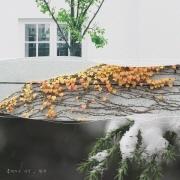 흘러가는 시간 앨범커버