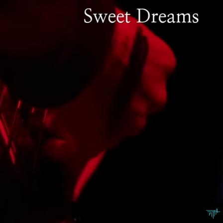 Sweet Dreams 앨범커버