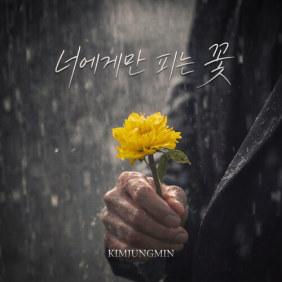 앨범커버 