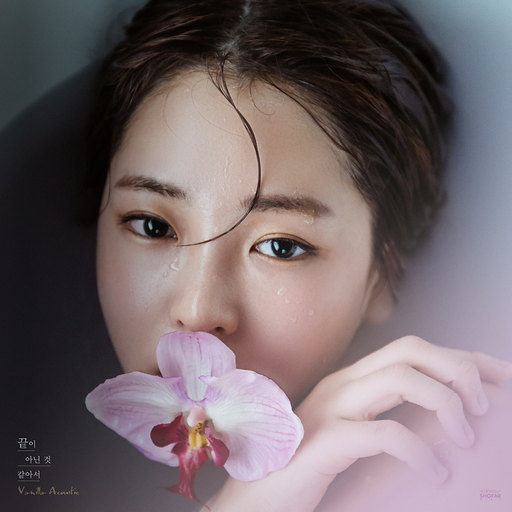 끝이 아닌것 같아서 앨범커버