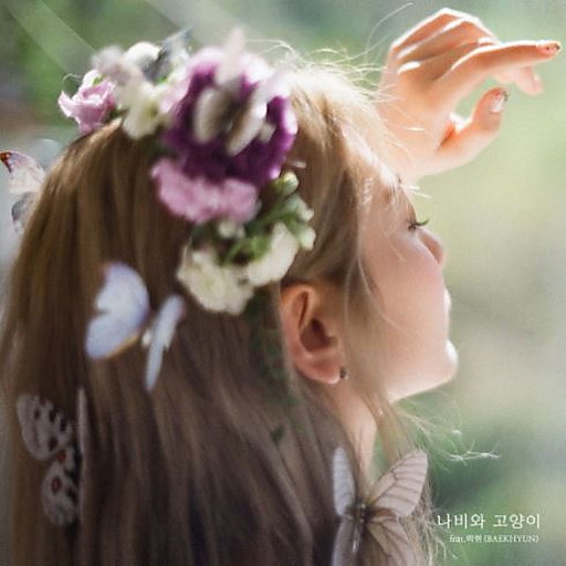 나비와 고양이