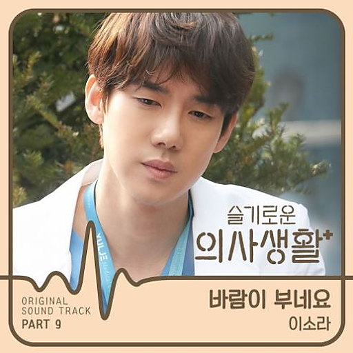 바람이 부네요