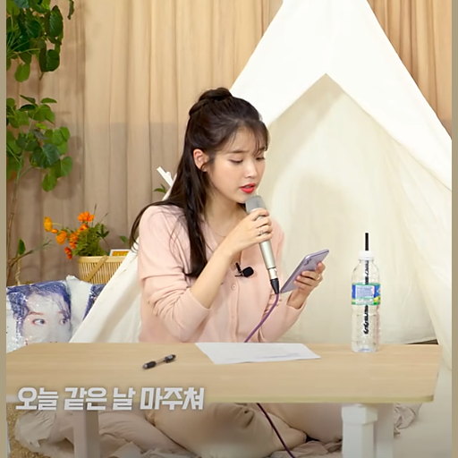 동영상(Dolphin)