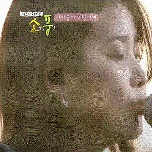 가리워진 길