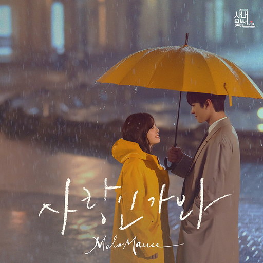 사랑인가 봐 앨범커버