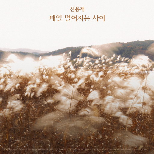 매일 멀어지는 사이 앨범커버