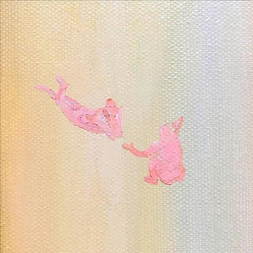 굄