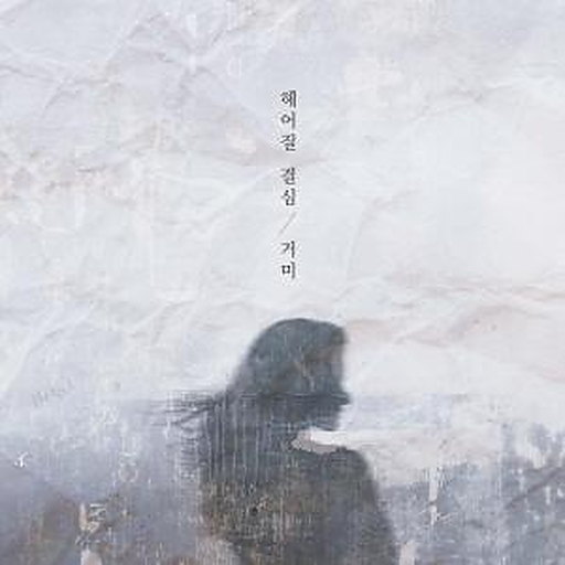 헤어질 결심 앨범커버