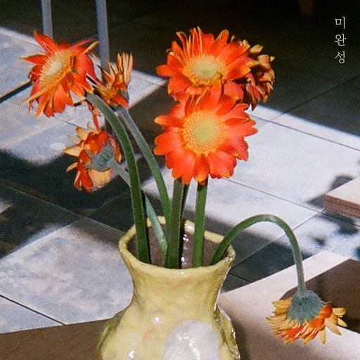 미완성 앨범커버