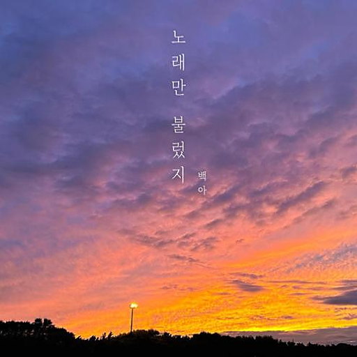 노래만 불렀지 앨범커버