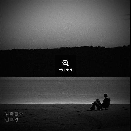 뭐라할까 앨범커버