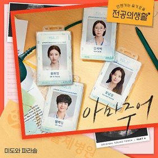 아마추어 앨범커버