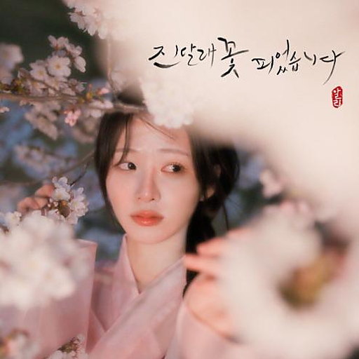 진달래꽃 피었습니다 앨범커버