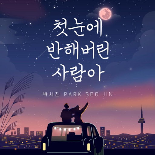 첫눈에 반해버린 사람아 앨범커버