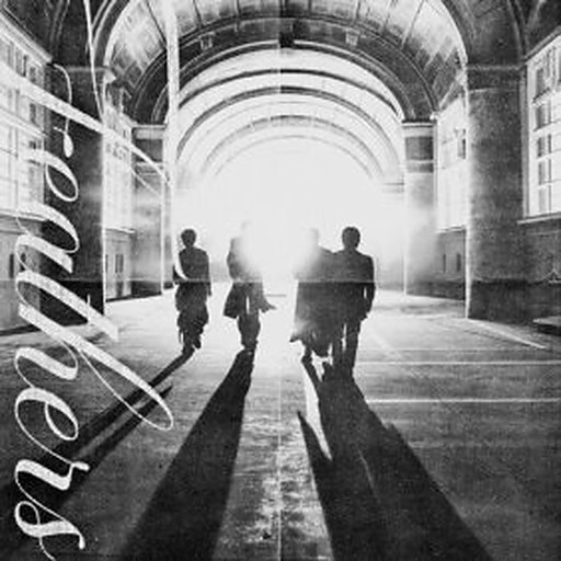 Feathers 앨범커버