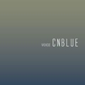 Voice(일본)