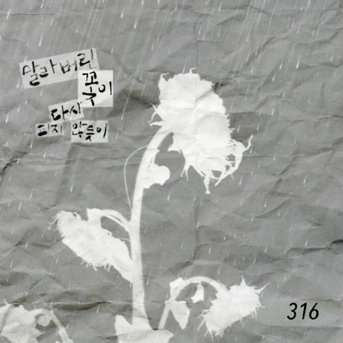 말라버린 꽃이 다시 피지 않듯이 앨범커버